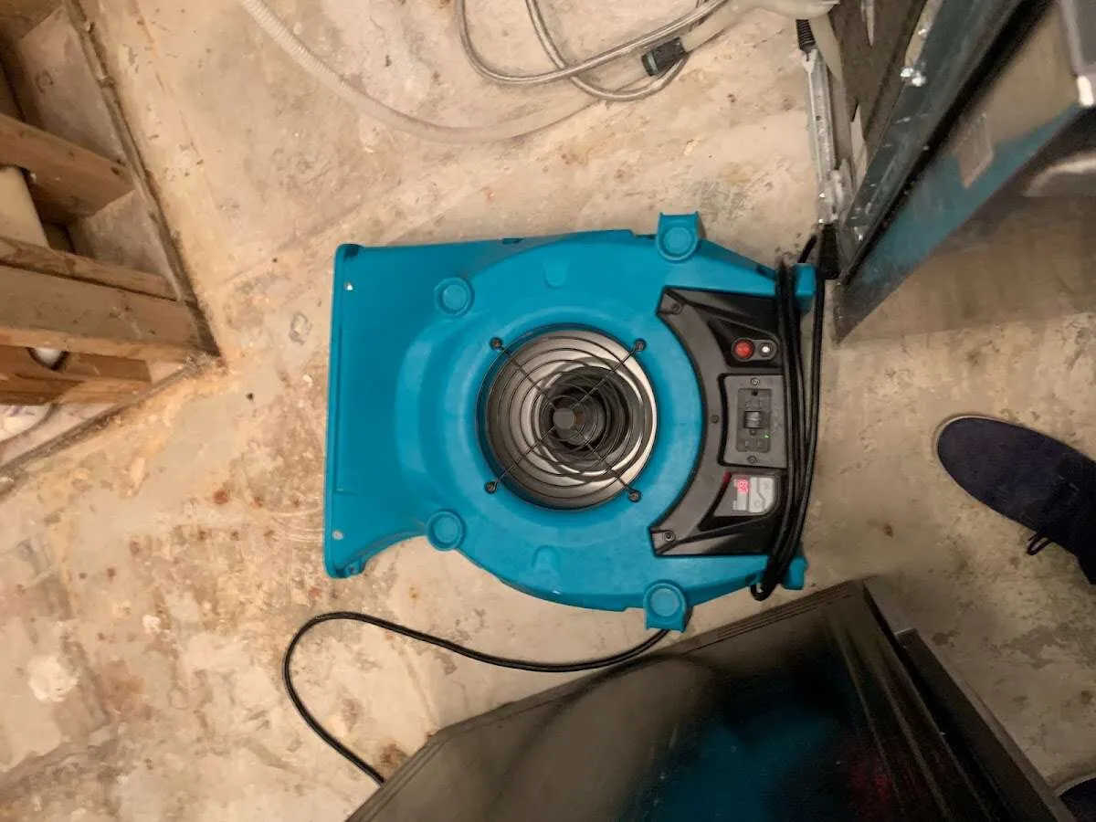Air mover drying equipment for Mold Remediation & Removal in Hartsville